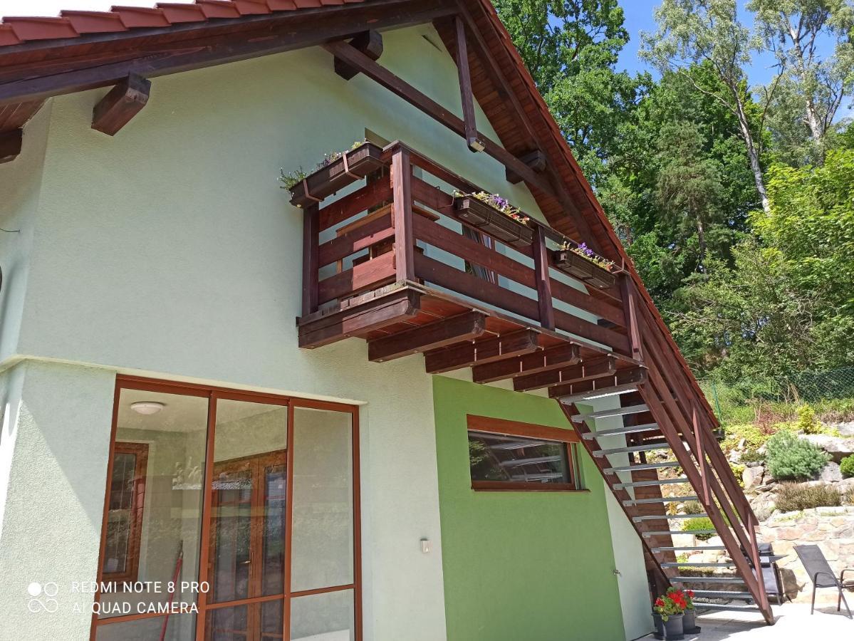 Apartamento Apartmá Na Lipně Horní Planá Exterior foto